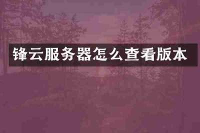 锋云服务器怎么查看版本