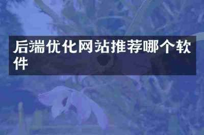 后端优化网站推荐哪个软件