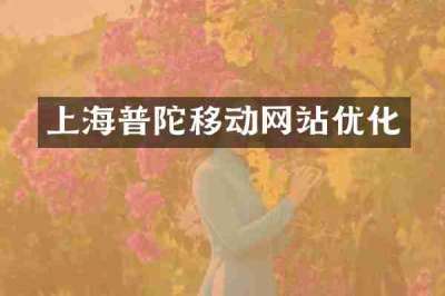 上海普陀移动网站优化