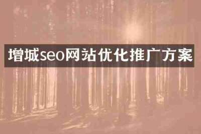 增城seo网站优化推广方案