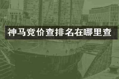 神马竞价查排名在哪里查