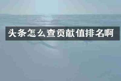 头条怎么查贡献值排名啊