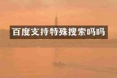 百度支持特殊搜索吗吗