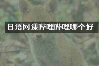 日语网课哔哩哔哩哪个好