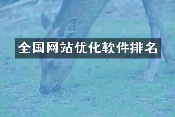 全国网站优化软件排名