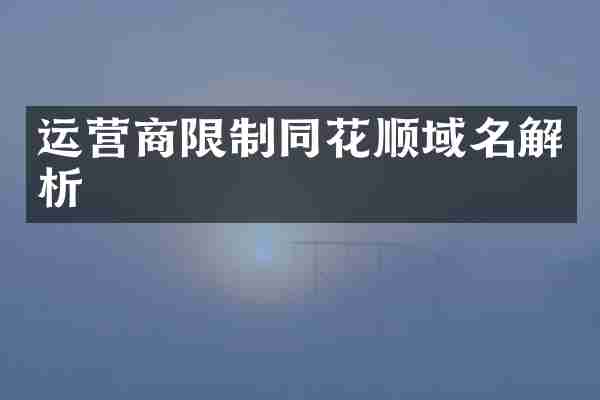 运营商限制同花顺域名解析