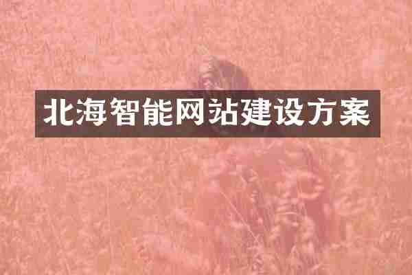 北海智能网站建设方案