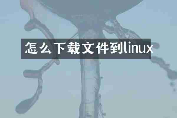 怎么下载文件到linux