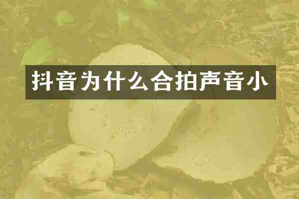 抖音为什么合拍声音小