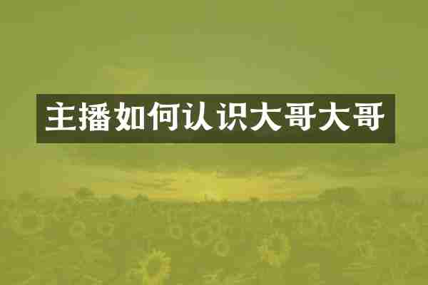 主播如何认识大哥大哥