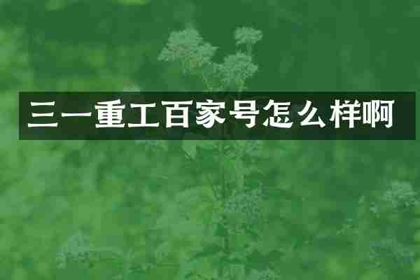 三一重工百家号怎么样啊