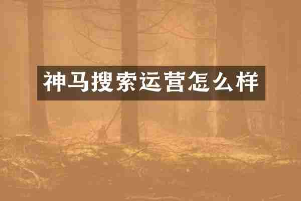 神马搜索运营怎么样