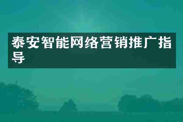 泰安智能网络营销推广指导