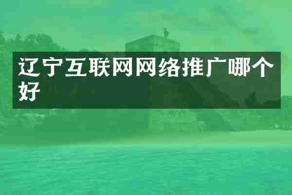 辽宁互联网网络推广哪个好