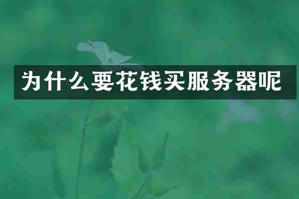 为什么要花钱买服务器呢