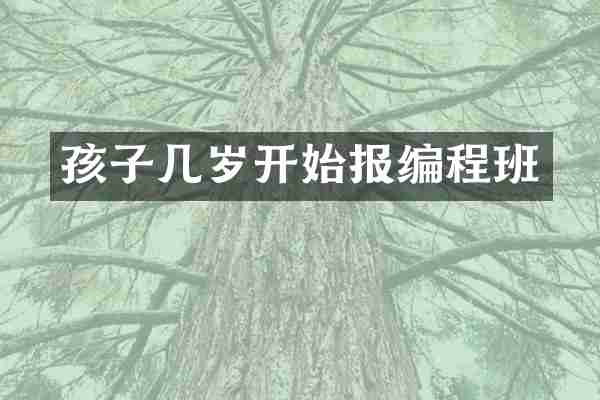 孩子几岁开始报编程班