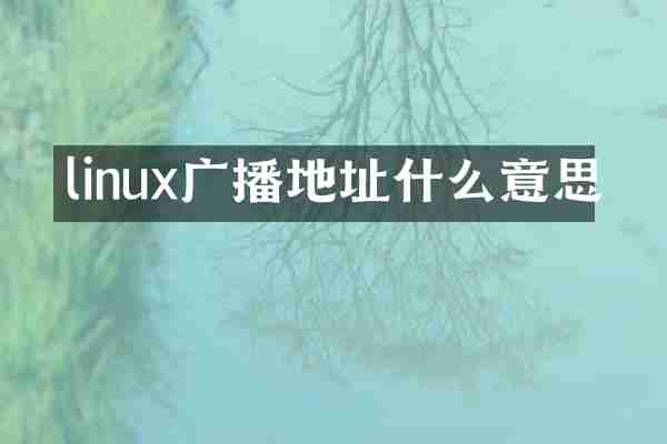 linux广播地址什么意思