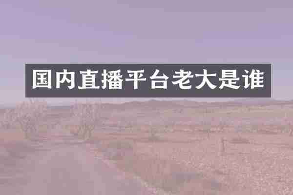 国内直播平台老大是谁