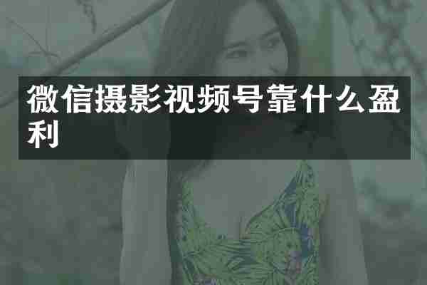 微信摄影视频号靠什么盈利