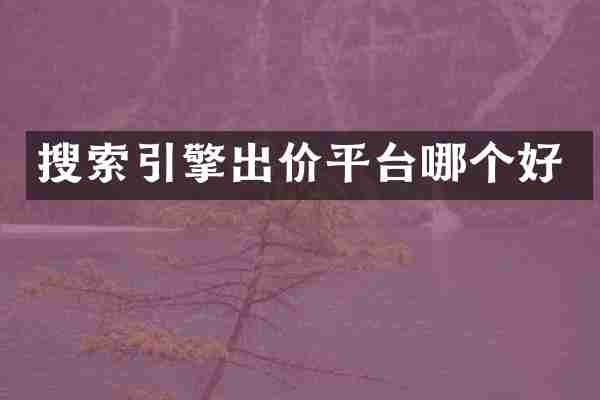 搜索引擎出价平台哪个好