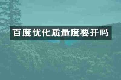 百度优化质量度要开吗