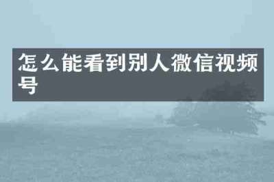 怎么能看到别人微信视频号