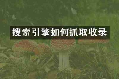 搜索引擎如何抓取收录