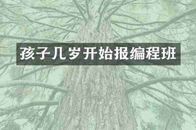 孩子几岁开始报编程班