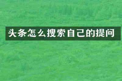 头条怎么搜索自己的提问