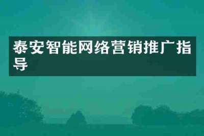 泰安智能网络营销推广指导
