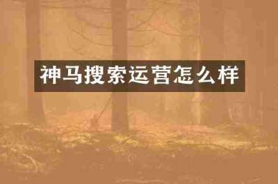 神马搜索运营怎么样