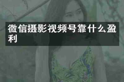 微信摄影视频号靠什么盈利