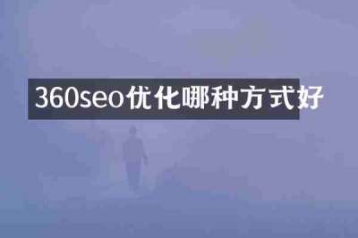 360seo优化哪种方式好