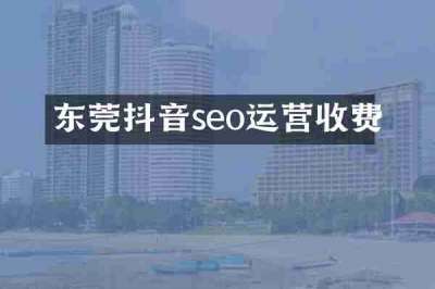 东莞抖音seo运营收费