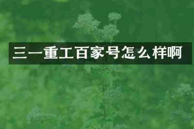 三一重工百家号怎么样啊