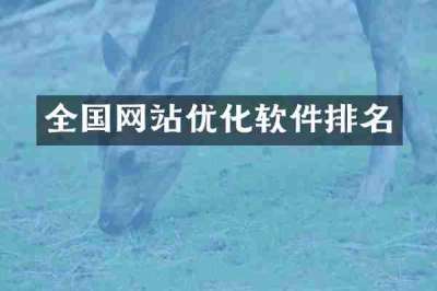 全国网站优化软件排名