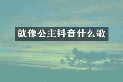 就像公主抖音什么歌