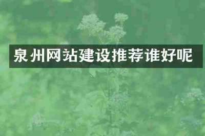泉州网站建设推荐谁好呢