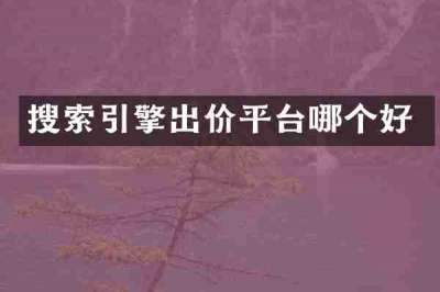 搜索引擎出价平台哪个好