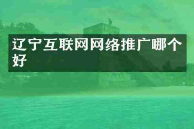 辽宁互联网网络推广哪个好