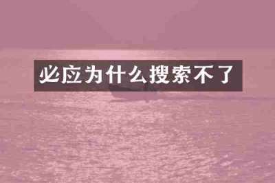 必应为什么搜索不了