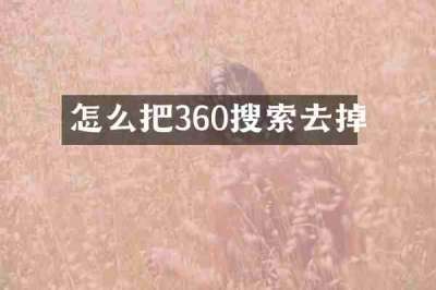 怎么把360搜索去掉