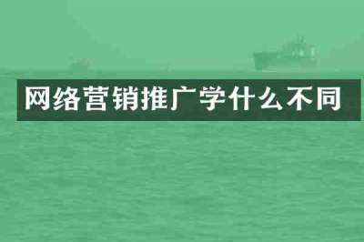 网络营销推广学什么不同