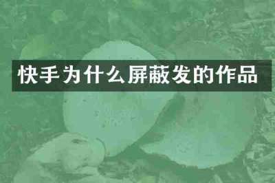 快手为什么屏蔽发的作品