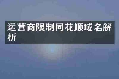 运营商限制同花顺域名解析