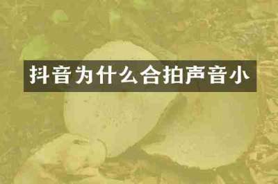 抖音为什么合拍声音小