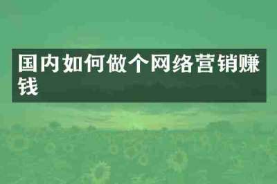 国内如何做个网络营销赚钱