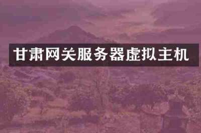 甘肃网关服务器虚拟主机