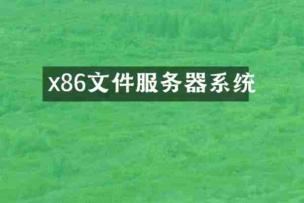 x86文件服务器系统