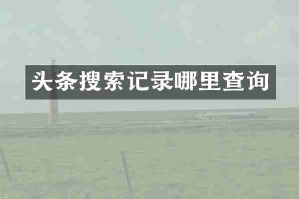 头条搜索记录哪里查询